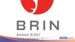 Berpeluang Didalam Sebab Itu Penyimpan Energi Kendaraan Listrik
