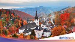 Mau Kajian Ke Slovakia? Beasiswa NSP 2026 Tawarkan Dana hingga Rp 27 Juta